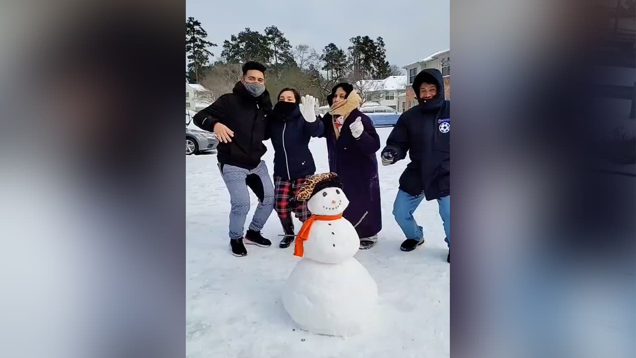Calle, automóviles, plantas, todo se vio impactado por el hielo.