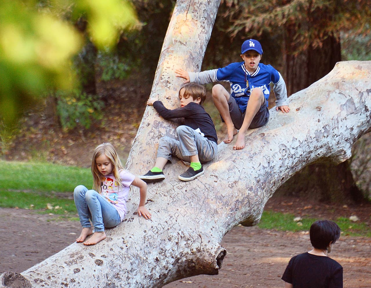 Shiloh y los mellizos trepando un árbol en un lindo día de picnic familiar este año.