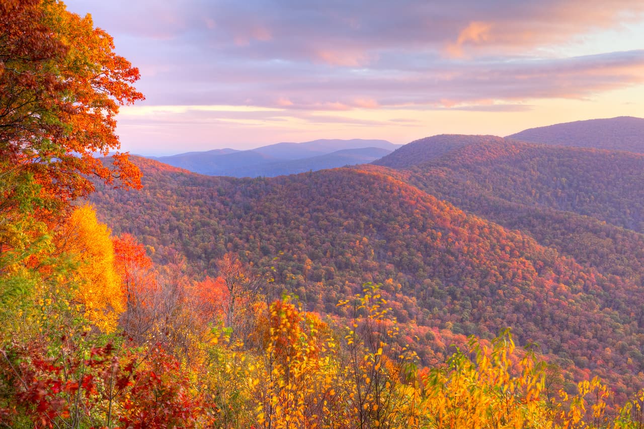 Shenandoah (Virginia): al mirar fijamente al horizonte desde los picos del Parque Nacional Shenandoah se hace difícil creer que está a apenas 75 millas del ajetreo de la capital de la nación Washington D.C.