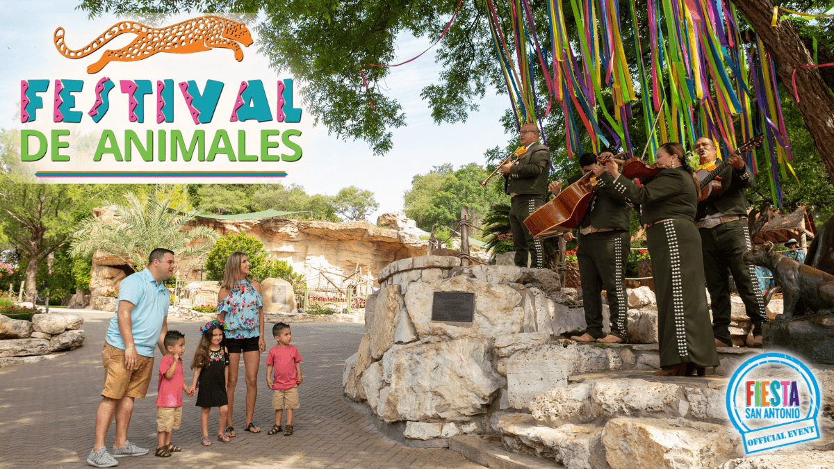 <h2 class="cms-H2-H2">Festival de Animales</h2>
<br>
<ul>
<li class="li1">Cuándo: 29 de abril</li>
</ul>
<ul>
<li class="li1">Hora: 9:00 a 19:00 horas</li>
</ul>
<ul>
<li class="li1">Dónde: Zoológico de San Antonio</li>
</ul>
<ul>
<li class="li1">Qué es: Evento para celebrar la cultura de Latinoamérica con cocktails y música en vivo.</li>
</ul>
<ul>
<li class="li1">Costo: 31.99 dólares</li>
</ul>