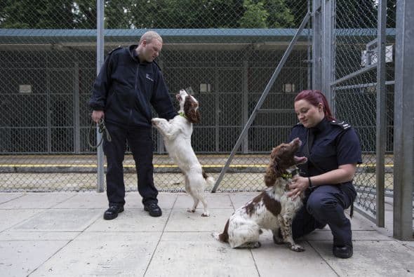 Y en donde se filtran las sustancias y los objetos ilegales.