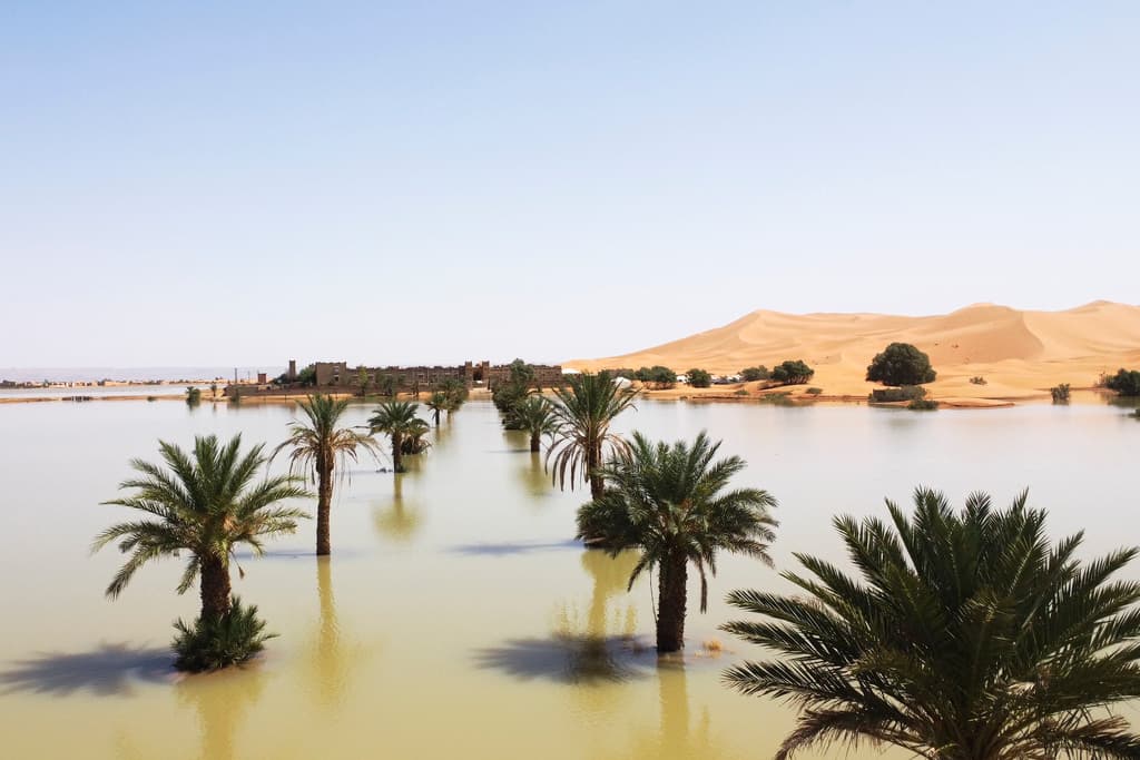 Una inusual ronda de chaparrones formó lagos de agua azul entre las palmeras y las dunas del desierto del Sahara.