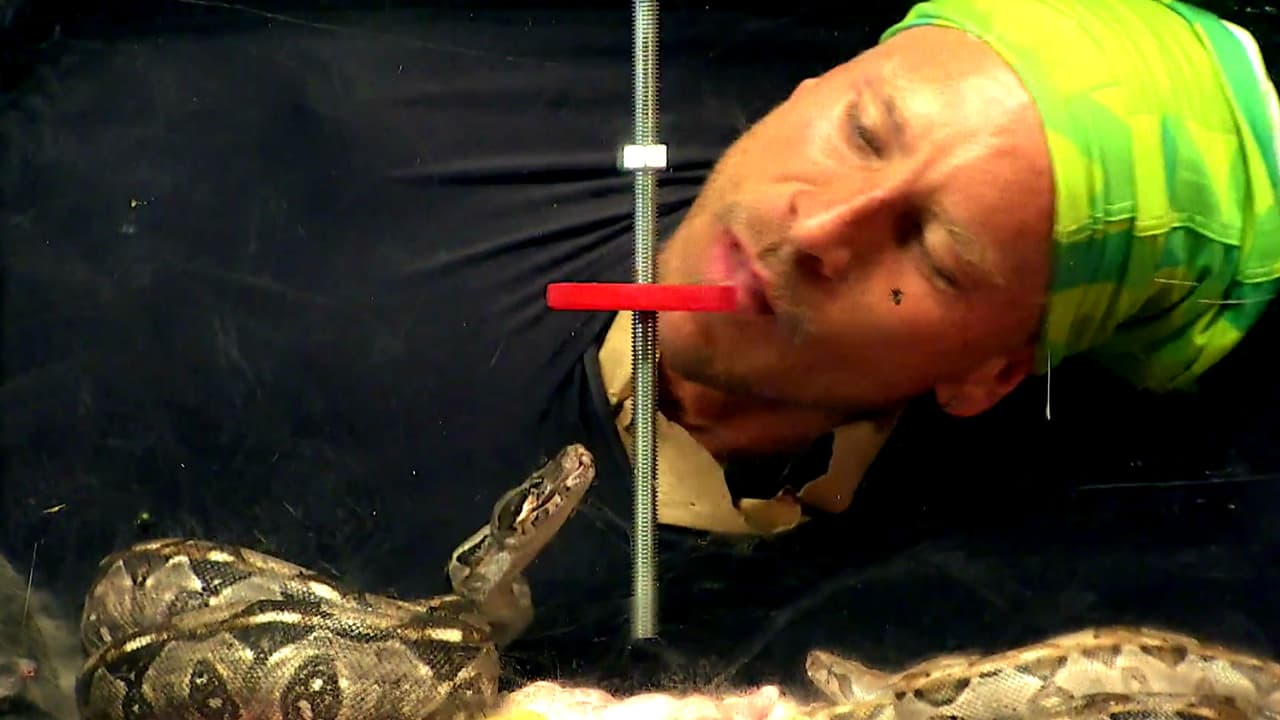 Salvador Zerboni fue mordido por uno de estos reptiles en una de las pruebas de Inframundo.