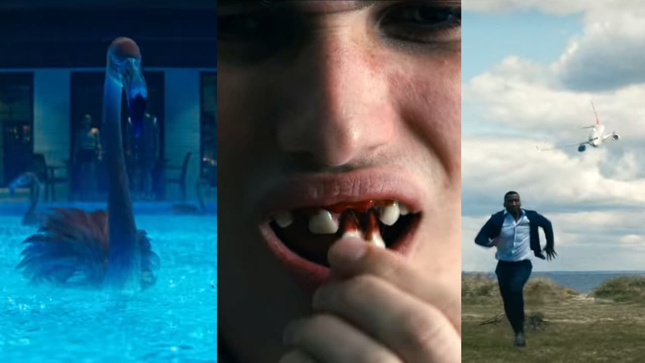 Dientes que se caen, aviones estrellados, animales locos: ¿Qué podría ser real de la película 'Dejar el mundo atrás'?