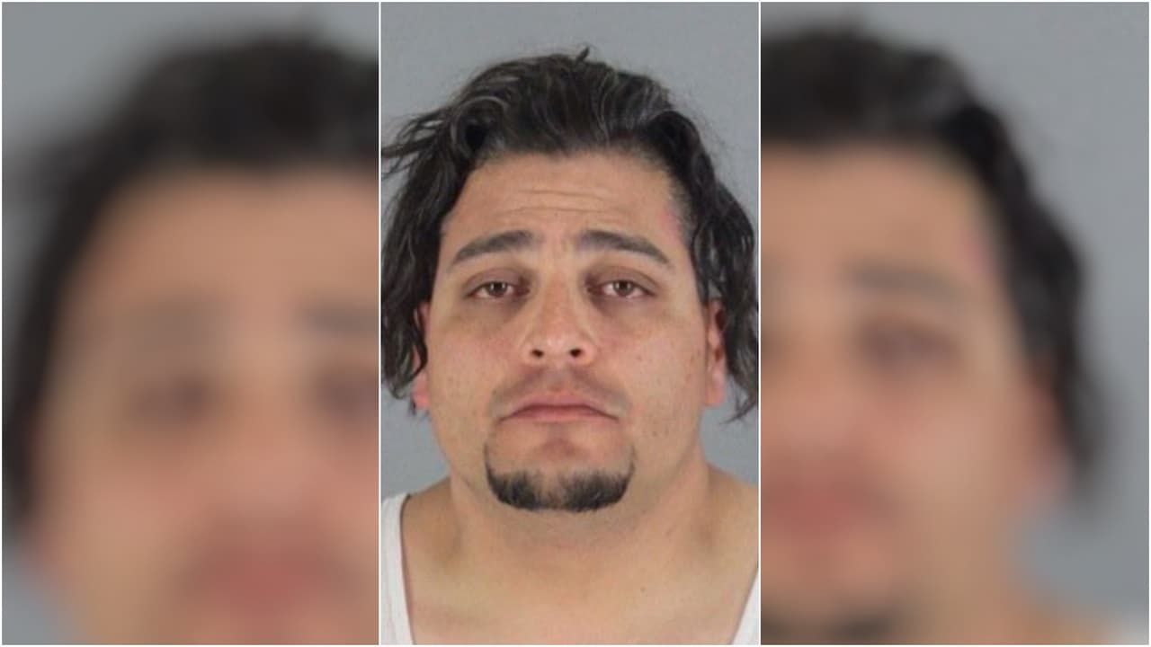 Lleva su perro al peluquero y el animal muere con el pulmón perforado