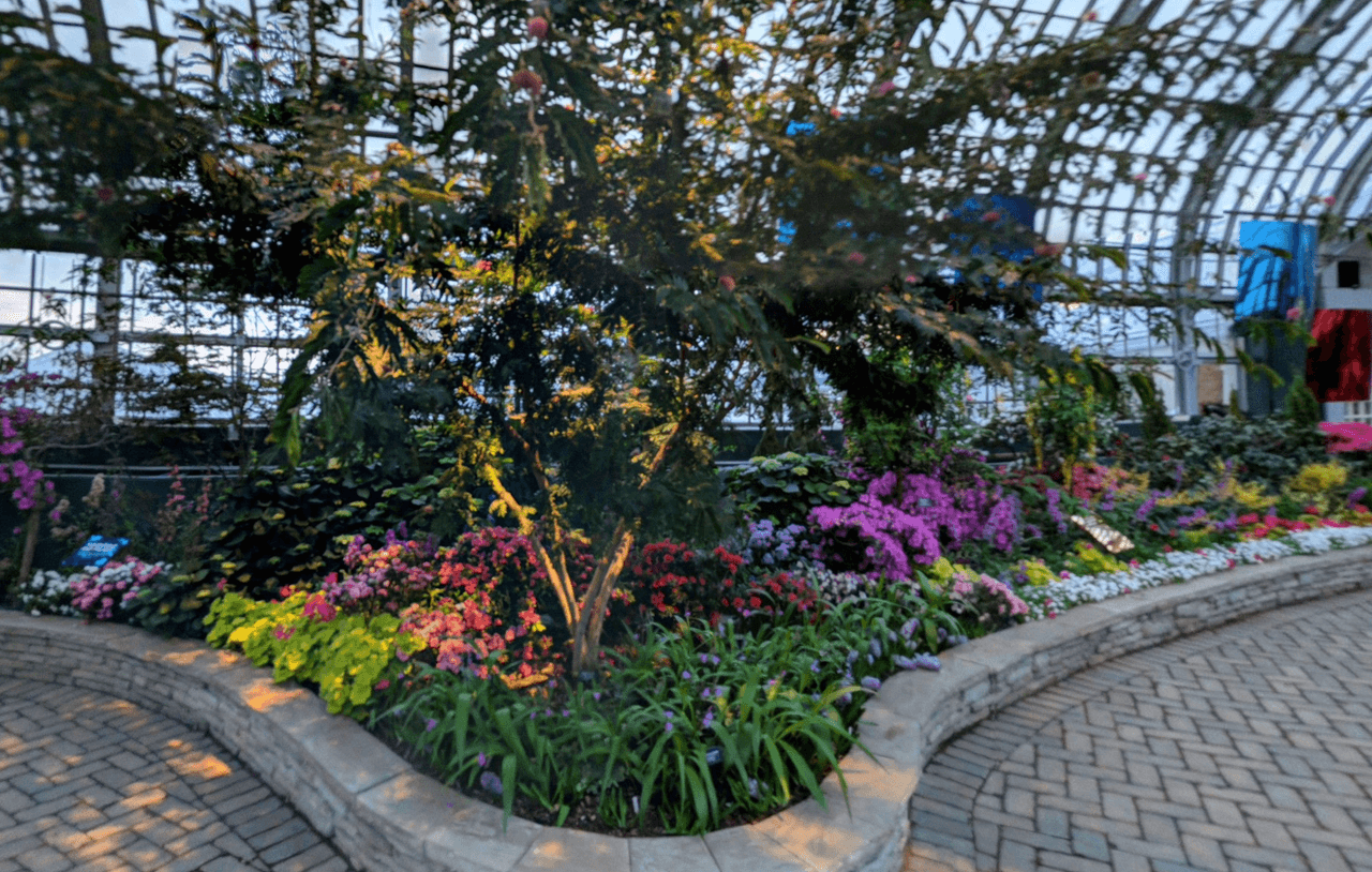 Desde jardines interiores hasta exteriores, el conservatorio tiene una variedad de plantas, flores y pequeños árboles.