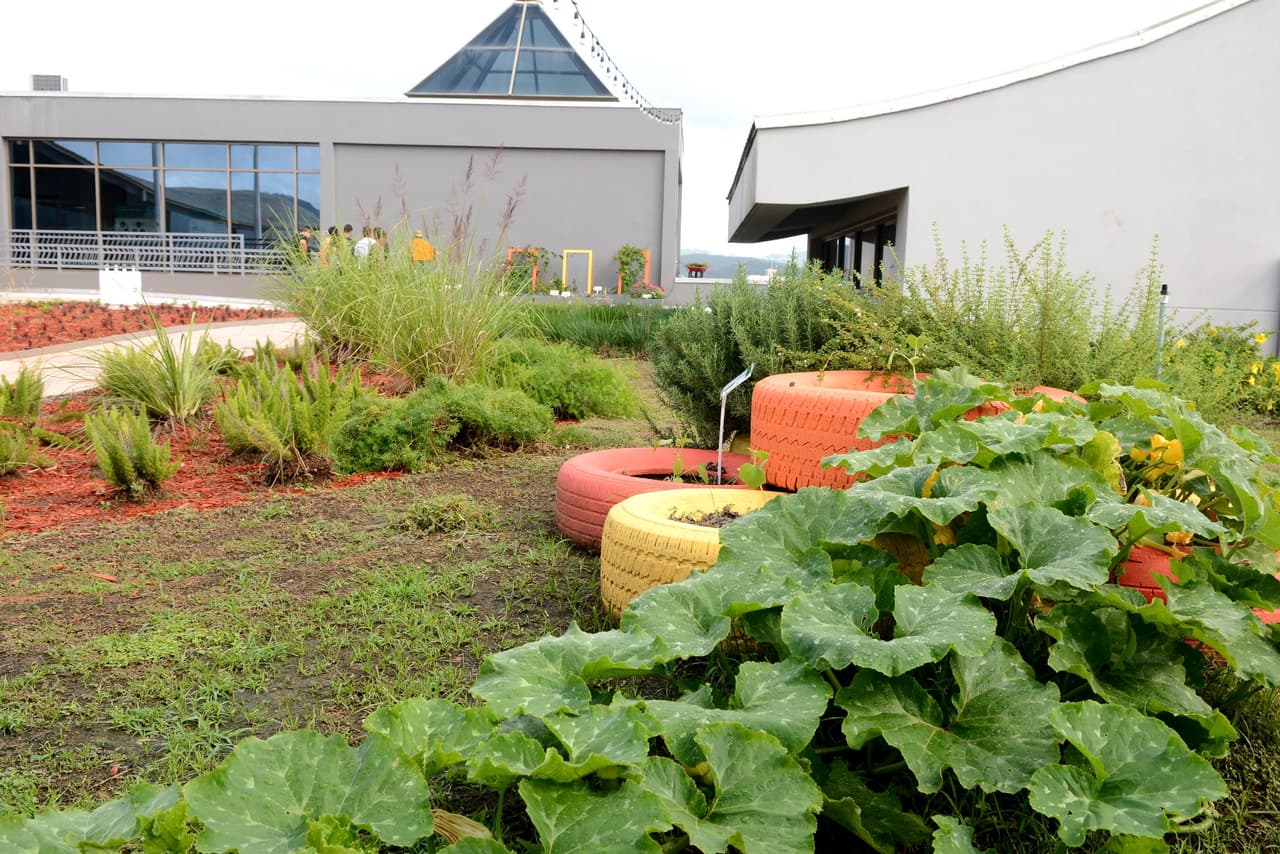 Centro Criollo de Ciencia y Tecnología (C3tec) te invita a exhibición interactiva Terra Viva