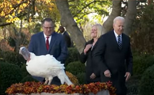 Según el Centro Nacional de la Constitución de EEUU, el presidente John F. Kennedy comenzó la tendencia de perdonar públicamente un pavo regalado a la Casa Blanca en noviembre de 1963.