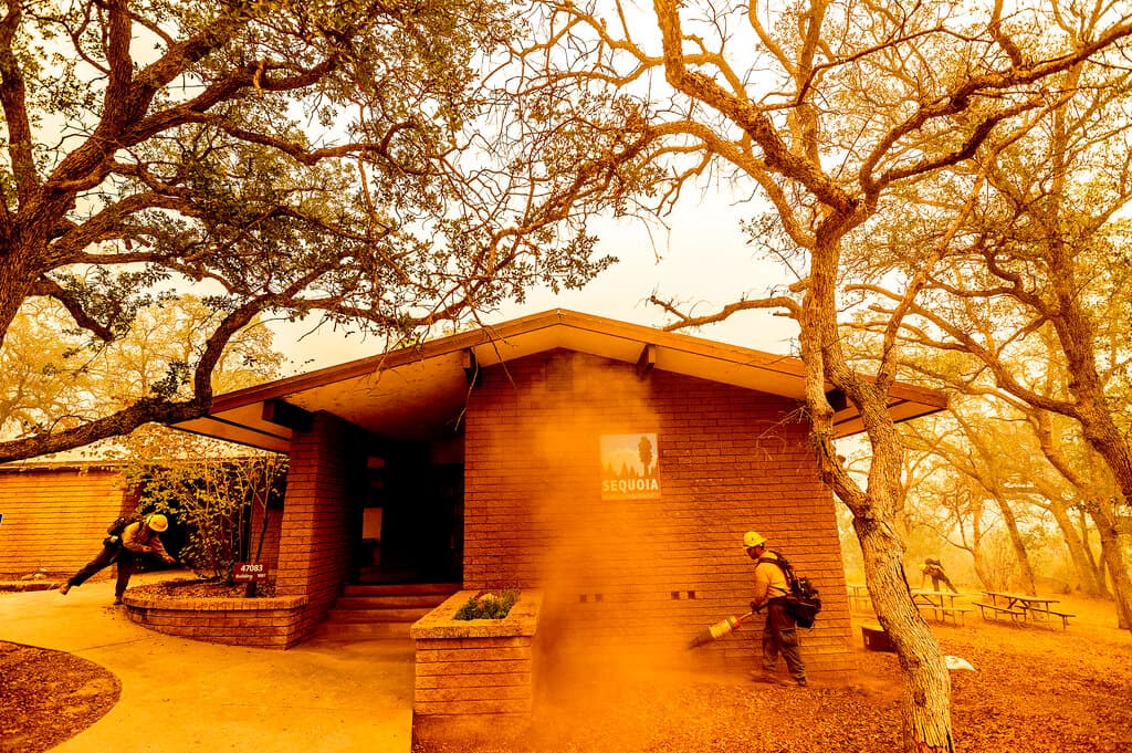 Más de 300 bomberos están en el lugar, ayudados por helicópteros y camiones cisterna cuando las condiciones del humo lo permitían. Según Ruggiero, este jueves un equipo de gestión interinstitucional nacional se hará cargo de los incendios, gestionados colectivamente como el complejo KNP. Se esperan aún más recursos, agregó.