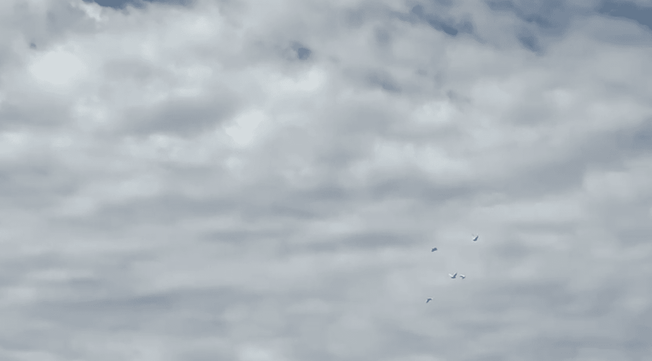 También estuvieron presentes familiares, amigos y gran parte de la comunidad hispana del este del condado Harris.