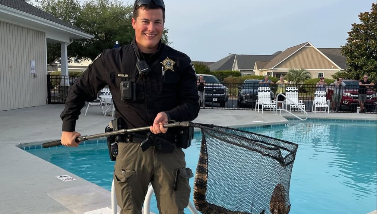 Policía captura a caimán intruso en una piscina comunitaria 