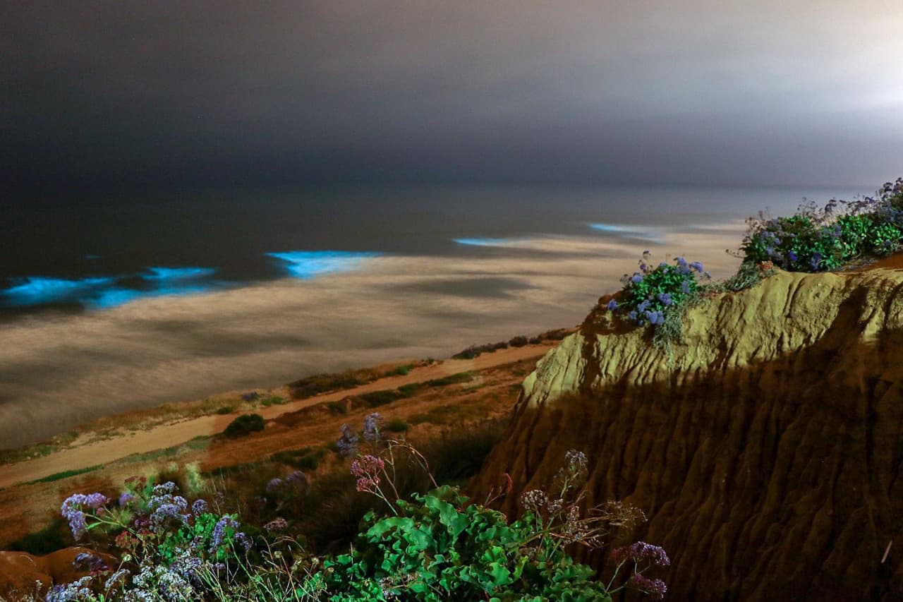 Tampoco se sabe exactamente la época del año en la que aparecerán los trazos lumínicos en el agua, pero los expertos aseguran que estas aparecen cuando las condiciones ambientales son las ideales para las algas.