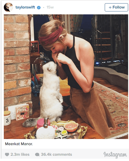 Tay es una de las más populares en las diversas redes sociales, pero sin duda Instagram es su favorita.