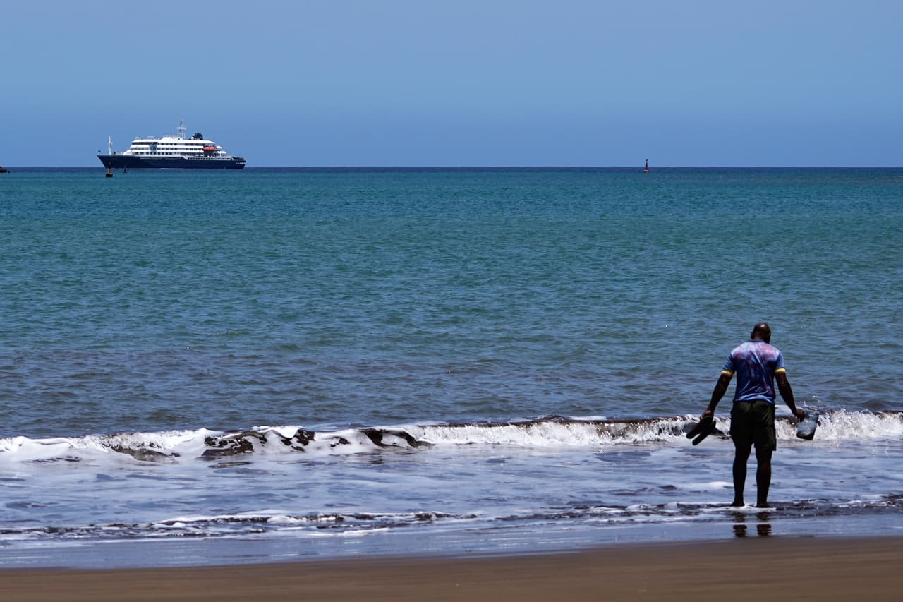 Lo que debe saber sobre el hantavirus, la enfermedad que causó un brote en un crucero