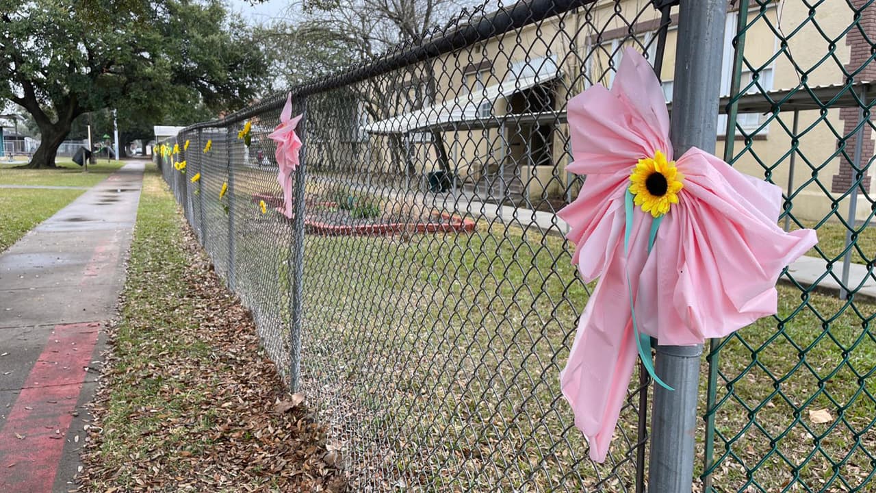 La menor murió 
<a href="https://www.univision.com/local/houston-kxln/arlene-alvarez-nina-baleada-houston-muere" target="_blank">el 14 de febrero</a> cuando transitaba junto a su familia por el sureste de Houston.