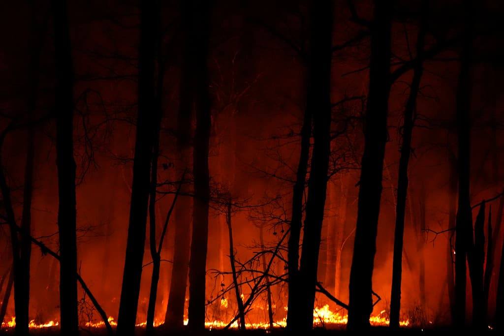 Según el Monitor de Sequía de EE.UU., los niveles de sequía en el condado de Ocean van de anormalmente secos a moderados, y han empeorado durante la última semana. Casi el 80% del estado jardín enfrenta algún nivel de sequía.