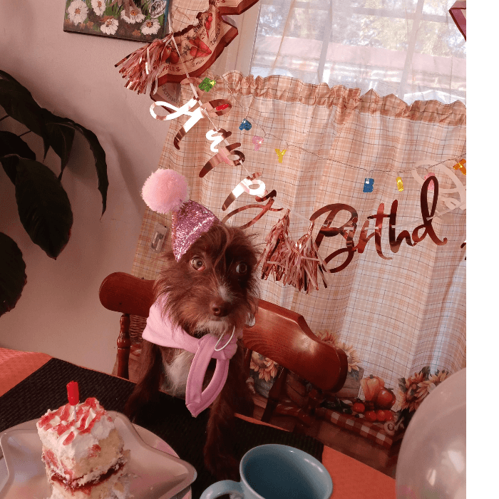 Brownie celebró junto a su familia su tan esperado cumpleaños.