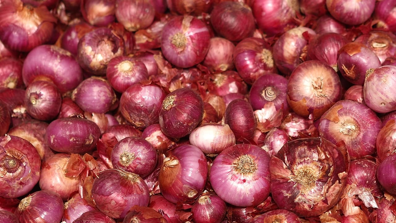 A la fecha suman 640 personas infectadas con salmonela, siendo los estados de Utah, Oregon, California y Michigan los más afectados.