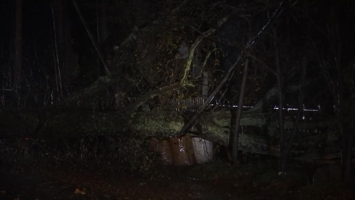 Daños causados por lluvias en el área metropolitana de Atlanta.