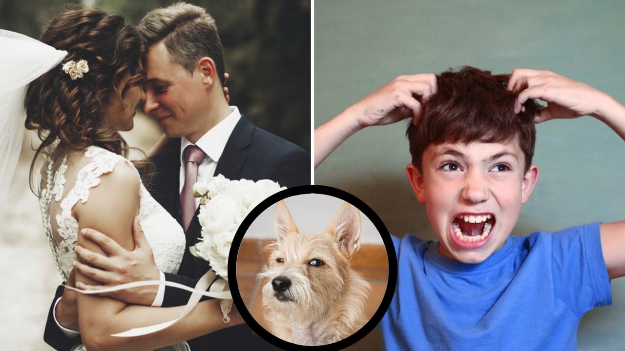 No quiere niños en su boda y otras reglas de esta novia que causaron polémica: reacciones