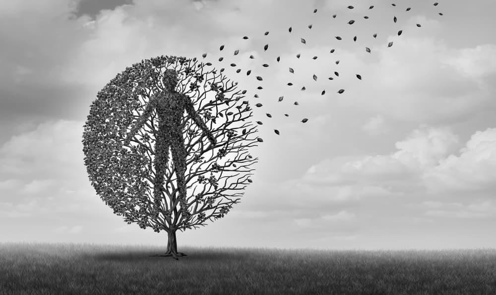 Otra relación importante de esta casa, es la 
<b>muerte</b>. Todos los aspectos de la muerte se encuentran relacionados en la octava.