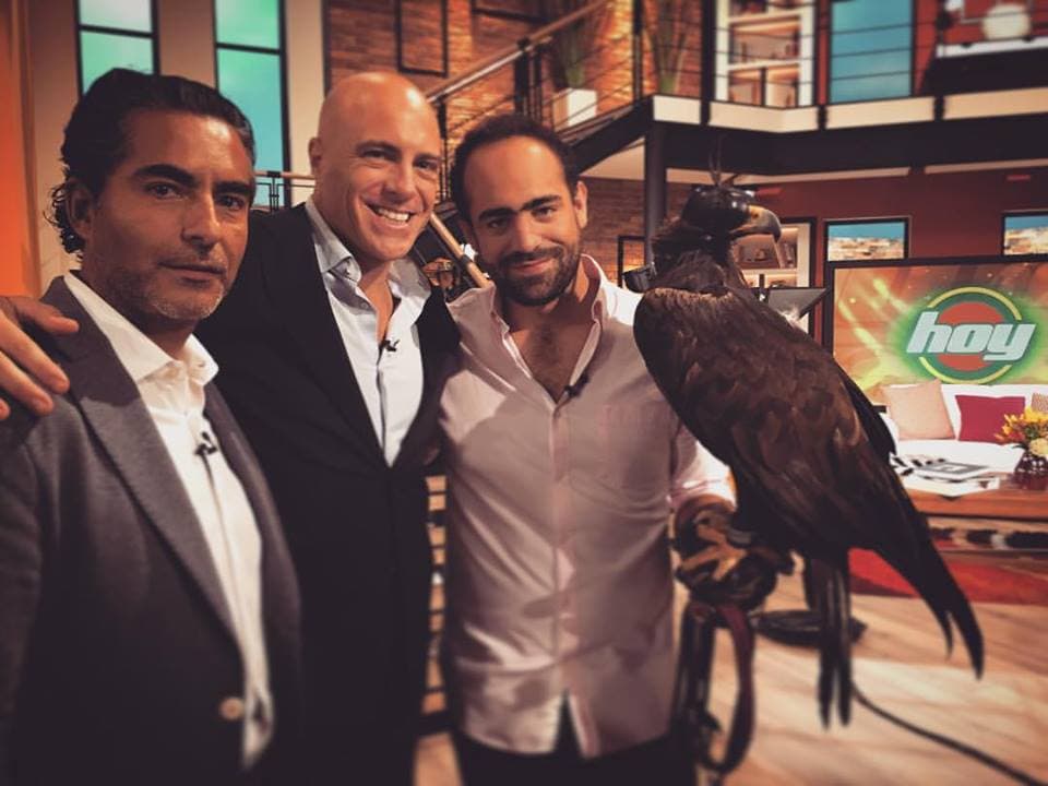 ¡Un Águila Real estuvo en Hoy! (12 de enero, 2016)