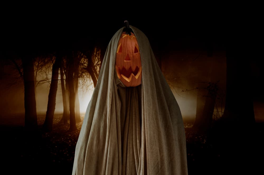 "Si no fuera por ti, no estaríamos en este horrendo lugar". "Cállate, que nos va a encontrar". "¡Busca un mejor arma, no esa, tonto!" Y con eso, sería el personaje que muere casi al final de la película, dando pie a que los otros escapen... y todos respiren aliviados de que ya lo sacaron de la peli.