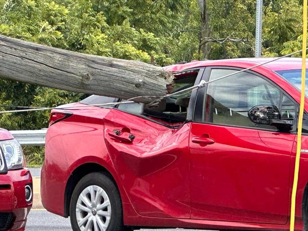 Esto, antes incluso de sacar a las personas de sus vehículos, para evitar riesgos.