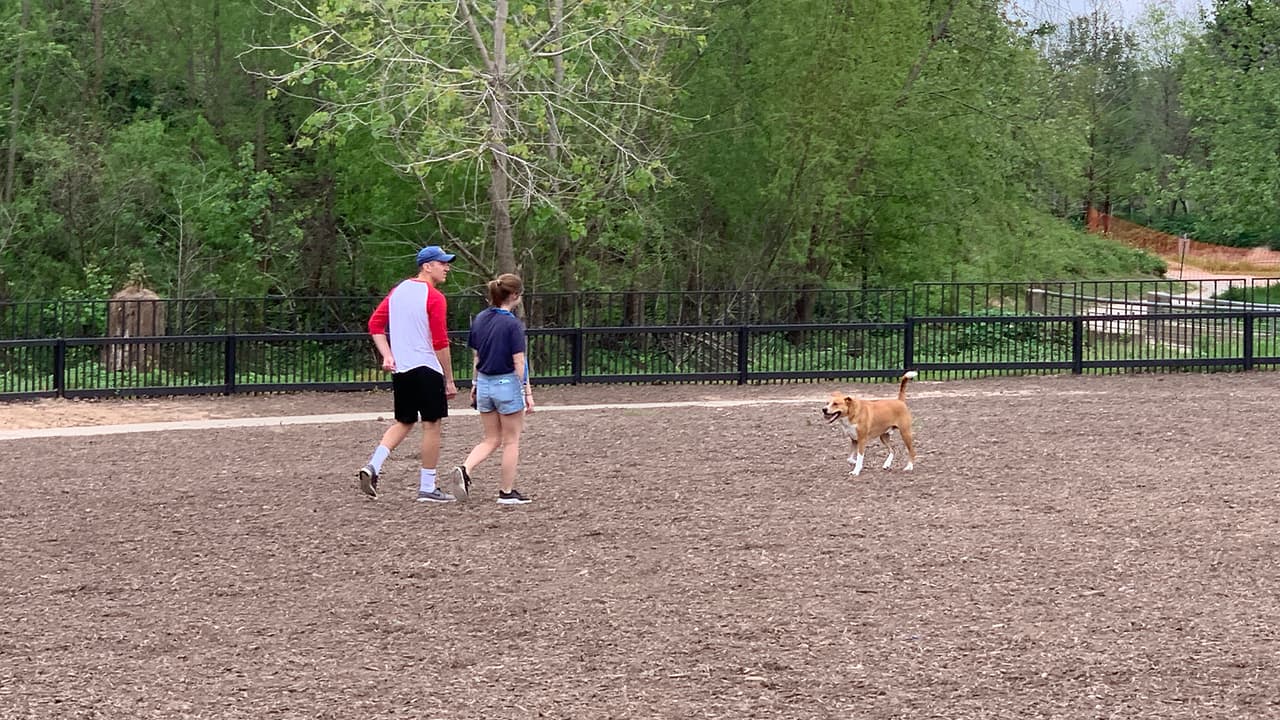 Los perros han resultado favorecidos con las recomendaciones de las autoridades del condado Harris para evitar la propagación del coronavirus porque sus dueños tienen más tiempo para sacarlos a pasear.