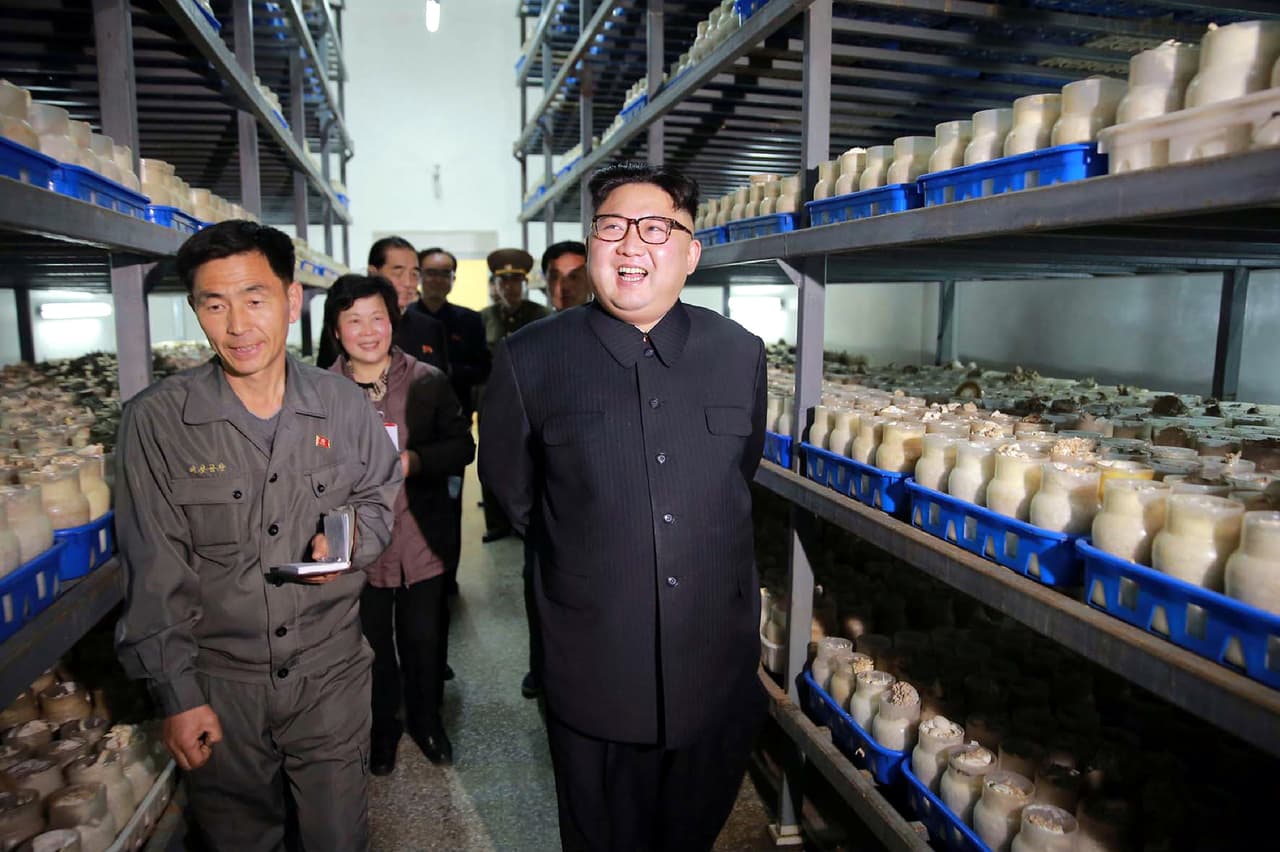 El sábado 8 de abril, la agencia official de noticias de Corea del Norte, KCNA, distribuyó esta foto sin fecha del líder norcoreano Kim Jong-un visitando una granja de hongos en Pyongyang. Es posible que en el transcurso de la semana, pasado el fin de semana festivo, se vuelva a escuchar el discurso duro desde Corea del Norte, a medida que se aproximan los buques de guerra estadounidenses. (Foto: AFP/KCNA vía KNS)