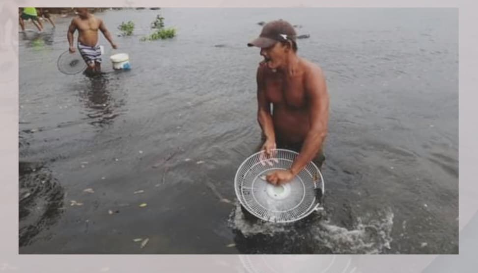 Varias de las personas que se acercaron al lugar se valieron de tapas de abanicos, para lograr su cometido.