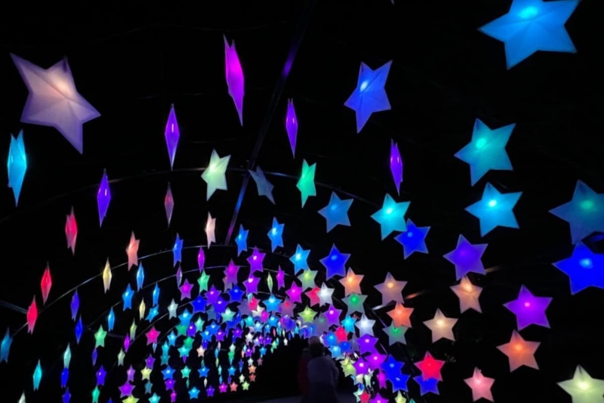 <b>Art on the Mart</b>
<br>📍222 Merchandise Mart Plaza, Chicago, IL, 60654.
<br>📆Del 16 de noviembre al 30 de diciembre. 
<br>🕒De 7:30 pm a 8:00 pm y se repite cada 30 minutos.
<br>❄️Durante esta temporada, la Escuela del Instituto de Arte de Chicago organizó el evento Art on the Mart para presentar obras de arte. Un bazar en donde también hay música y el show se aprecia mejor desde el Riverwalk. Inicia a las 7:30 de la noche, pero se repite cada 30 minutos.