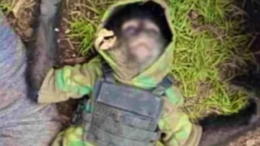 Captura de pantalla de un video dado a conocer por la policía del Estado de México en el que se observa un mono araña vestido de sicario. El animal falleció durante un enfrentamiento, en Texcaltitlán el 14 de junio de 2022, entre las autoridades y un grupo de delincuentes que lo usaban de mascota.