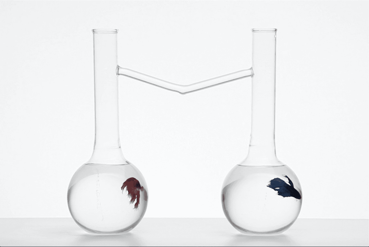 Romy Pocztaruk "Untitled" Fotografía Galería: SIM Feria:Art Basel Miami Beach