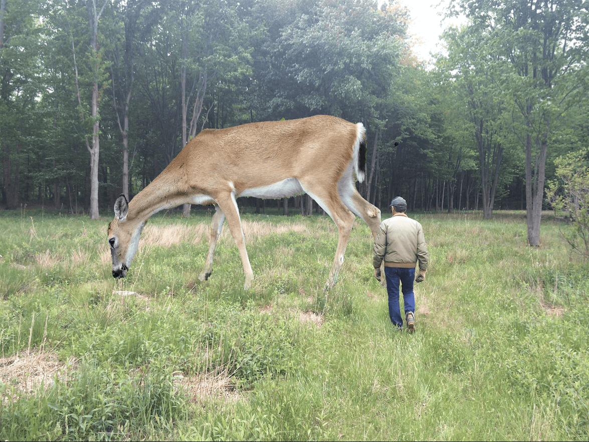 Tony Tasset "Deer", 2015 Galería: Kavi Gupta Feria: Art Basel Miami Beach