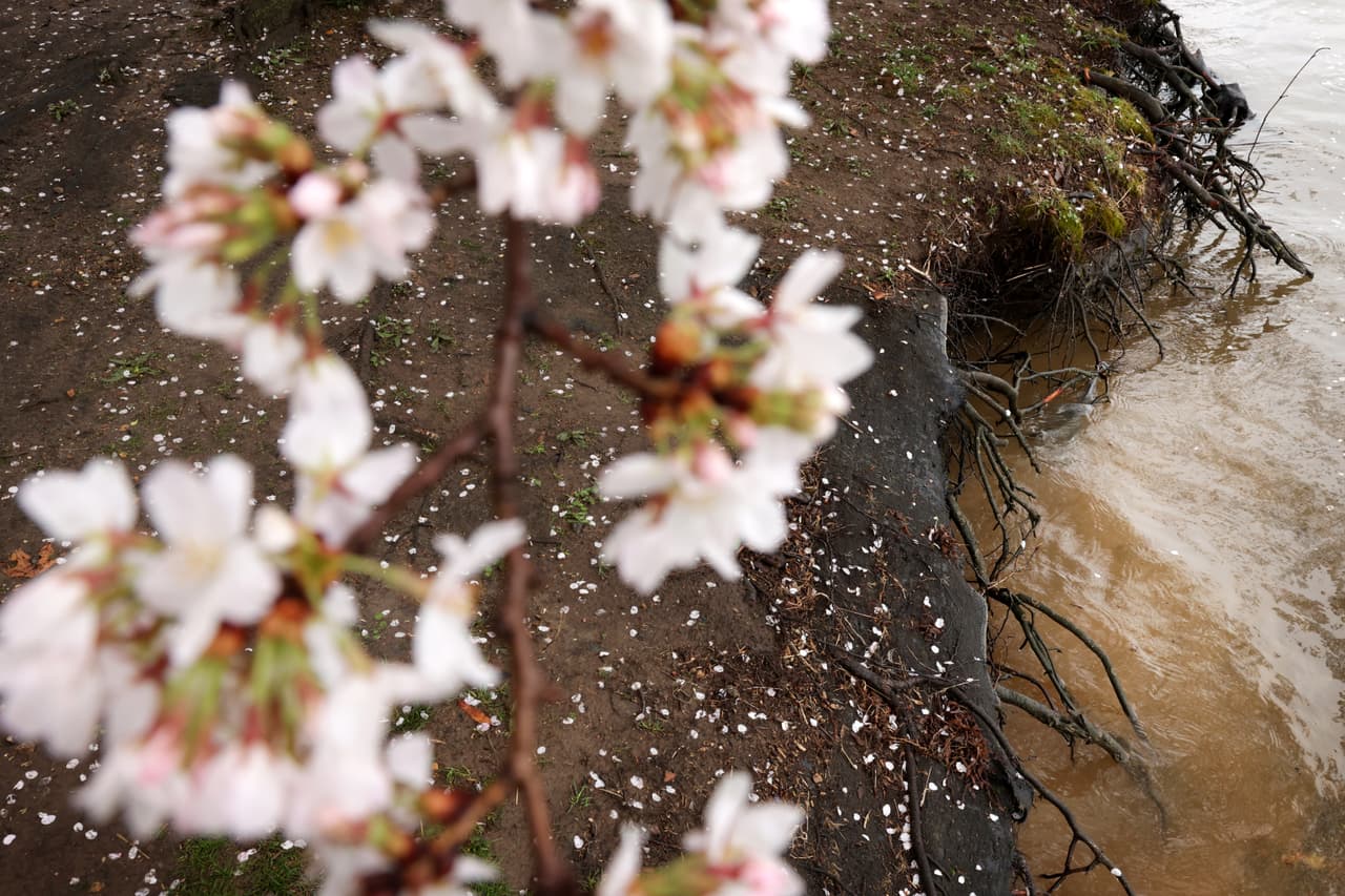 Aunque oficialmente todavía estamos en invierno, las condiciones parecieran indicar otra cosa.