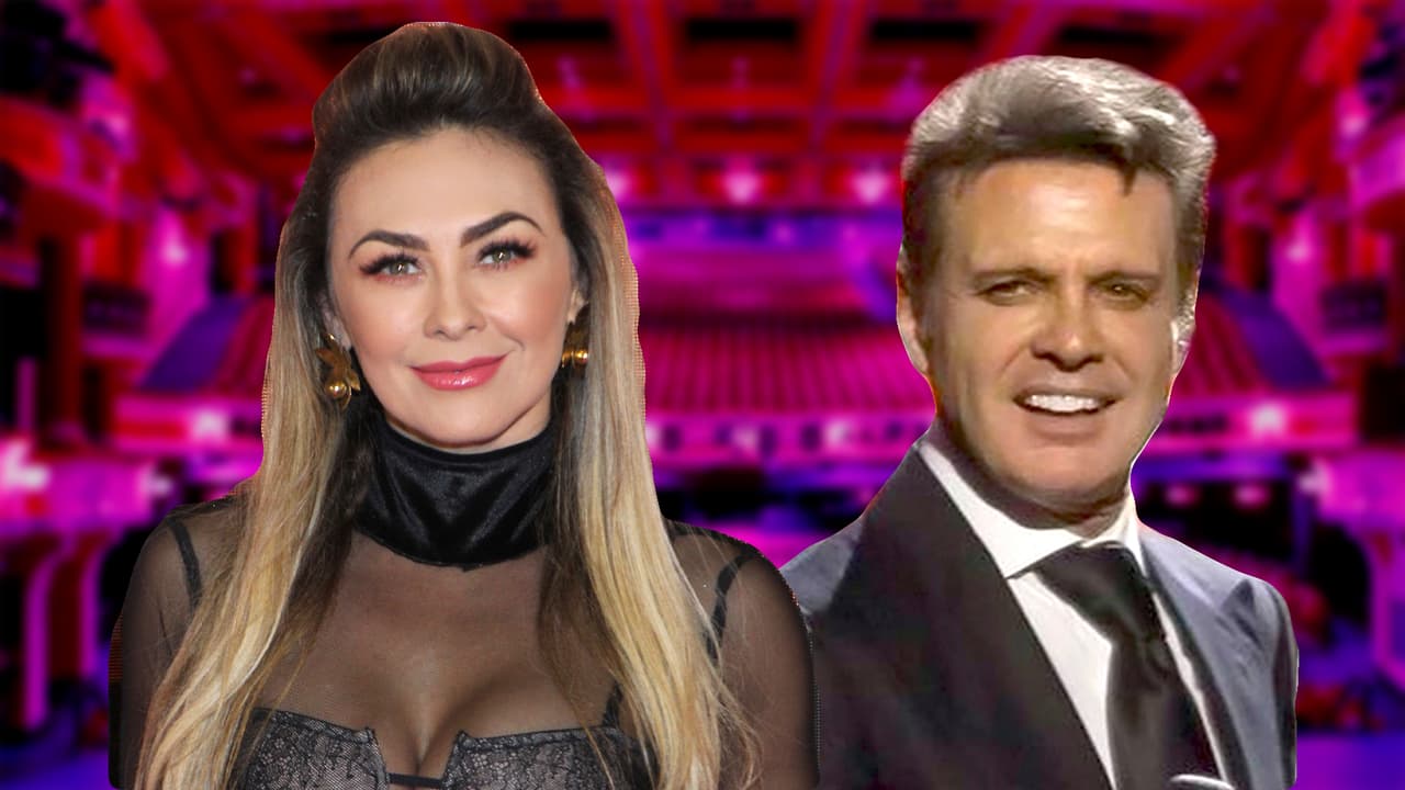 Los hijos de Aracely vieron a Luis Miguel después de quince años