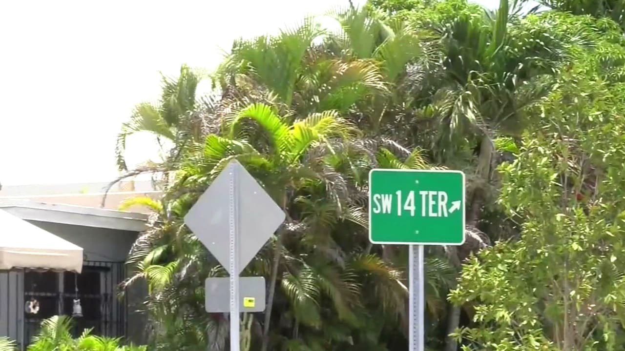 Encuentran el cadáver de una mujer baleada en la cabeza en un barrio residencial de Miami