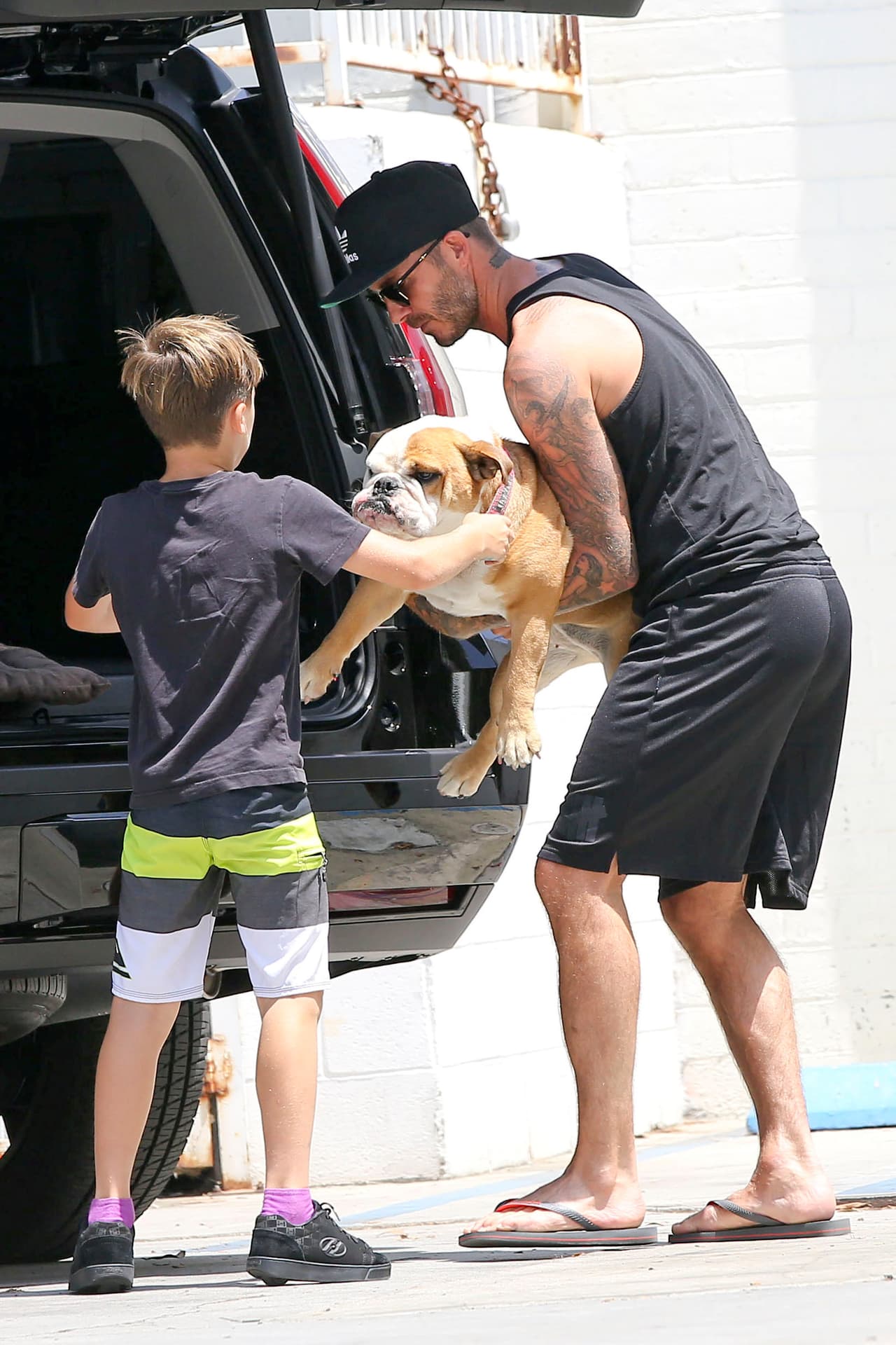 Muy pronto los demás perritos de la familia se acostumbrarán a Olive.