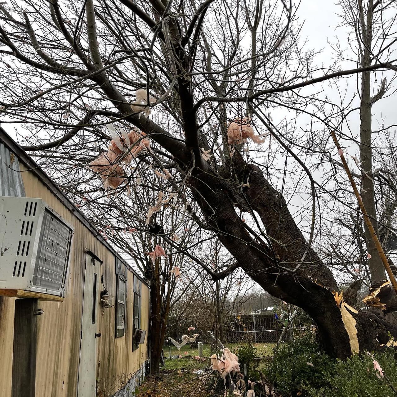 Hasta el momento el Servicio Nacional Meteorológico no ha confirmado si fue un tornado.
<br>