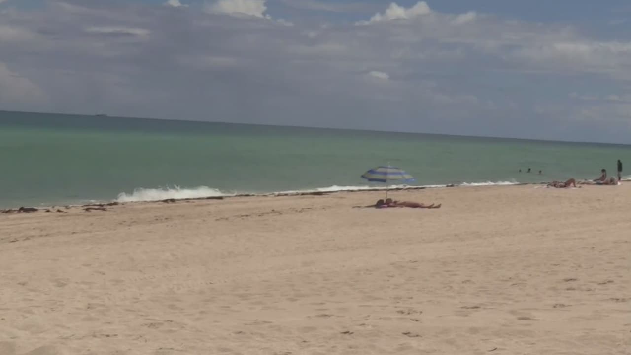 Alerta por contaminación de bacteria fecal en 7 playas de Miami-Dade 