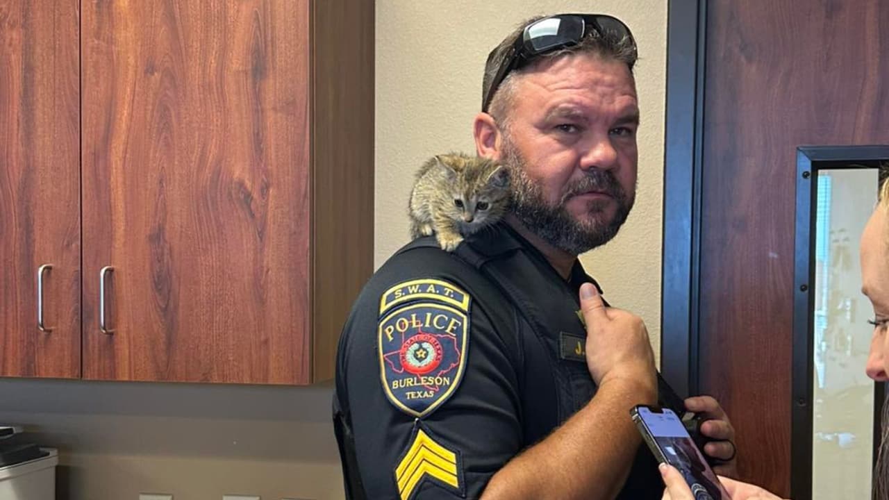 Los seguidores de la cuenta de Facebook de la Policía de Burleson la nombraron Stormy.