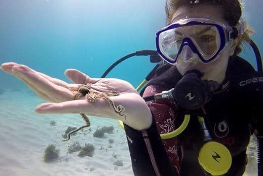 Ante la mentira con la que vivió por más de 30 años, Sabine se dijo decepcionada de su madre. "[...] Te entra un vacío espantoso de que la persona a la que más amas y confías, que es tu vida y que es tu todo, no te haya dicho las cosas a tiempo antes de que sucediera todo esto [...]".