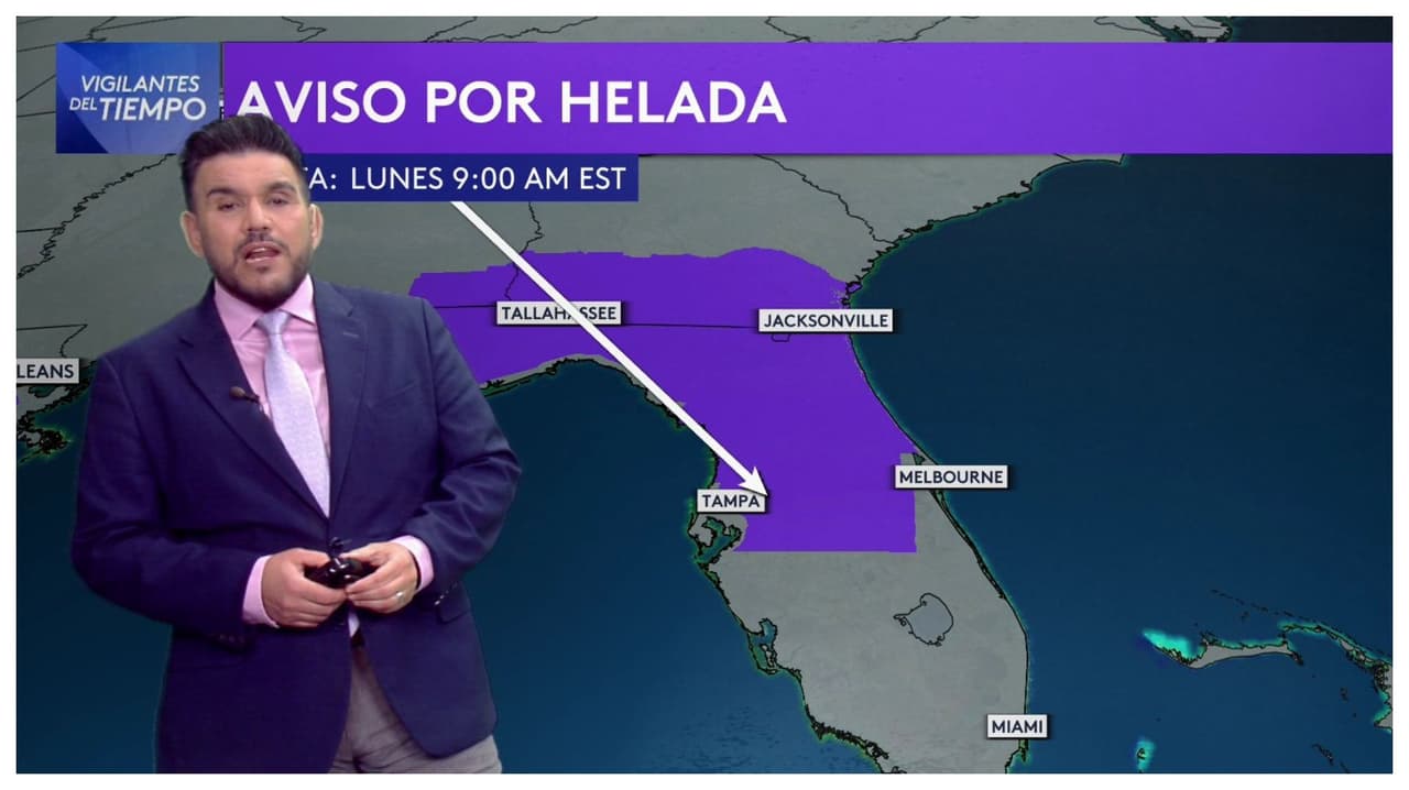 Alertas por heladas al norte de Florida; temperaturas llegarán hasta los 25 grados Fahrenheit