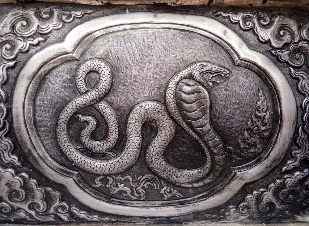 Sin embargo, a diferencia de Occidente donde ciertos animales tienen un estigma, en la astrología china no es así. Vemos que la serpiente en el horóscopo chino denota la elegancia, el conocimiento, la filosofía, el arte y buen gusto, el estudio superior y la inteligencia ¡nada que ver con la forma en que se considera en occidente!