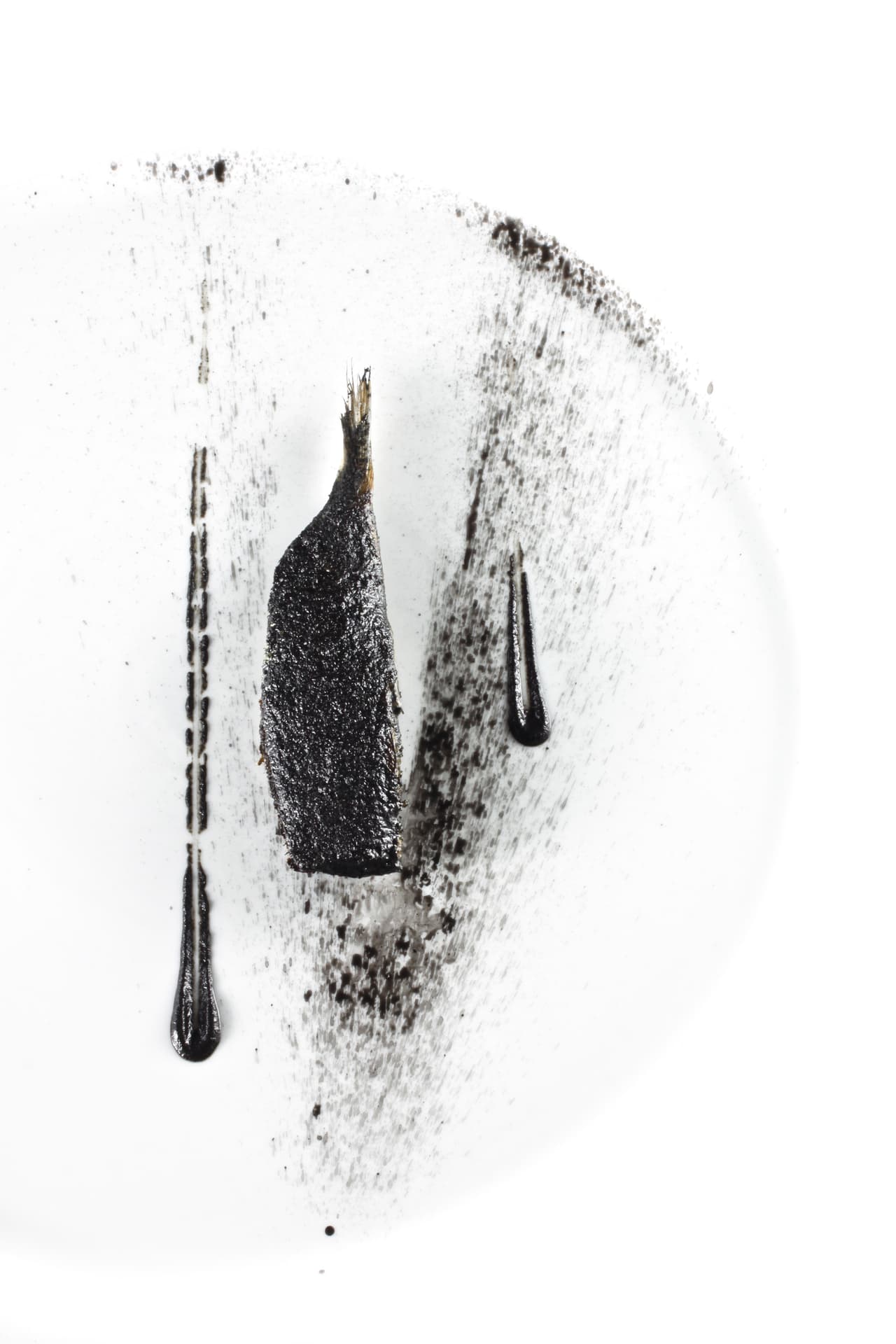 "Sardina quemada", un plato de Osteria Francescana el restaurante de Massimo Bottura, un cocinero y contador de historias que ha dedicado platillos a productos de Emilia Romagna como el parmigiano reggiano o el balsámico de Módena.