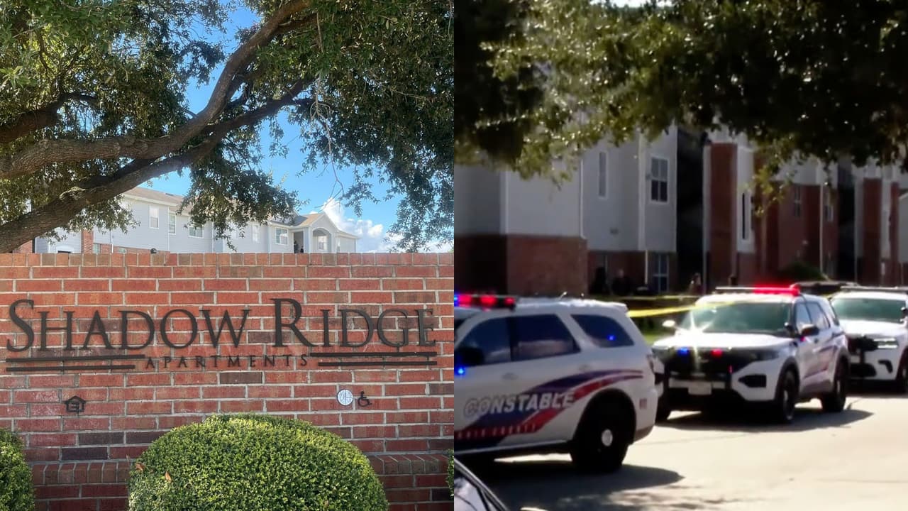 "Todos hispanos. Qué triste": dos mujeres y un hombre son declarados muertos en aparente doble homicidio-suicidio