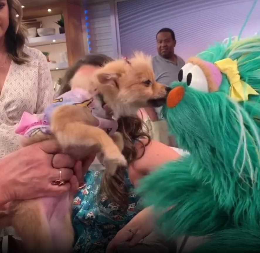 Rosita jugó con Bombom, la mascota de Despierta América, y hasta un besito se llevó de la consentida de la casa.