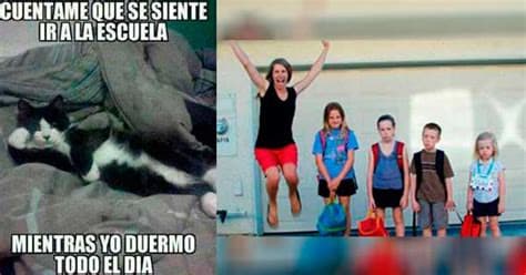 Y mientras las mascotas duermen, las mámas disfrutan de su libertad.