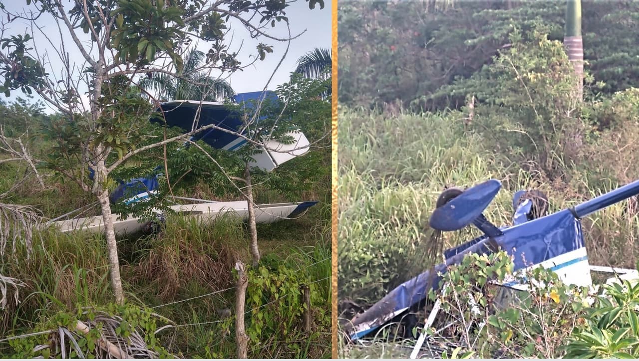 Avioneta se estrella en una zona boscosa de San Sebastián 